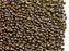 20 g 11/0 Seed Beads Preciosa Ornela, Brown Iris Metallic, Czech Glass