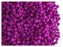 4 g Round NEON ESTRELA Beads, 2mm, Purple (UV Active), Czech Glass