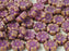 Hibiscus Flower Beads 9 mm, Chalk White Terracotta Purple, Czech Glass