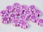 100 pcs Hibiscus Flower Beads 9 mm, Chalk White with Violet Decor, Czech Glass