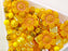 35 g Glass Bead Mix , Jonquil Yellow Goldenrod, Czech Glass
