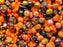 65 g Unique Mix of Czech Glass Beads for Jewelry Making, Beads & Bead assortments. Mixed Shapes and Size , Orange-Black Halloween, Czech Glass