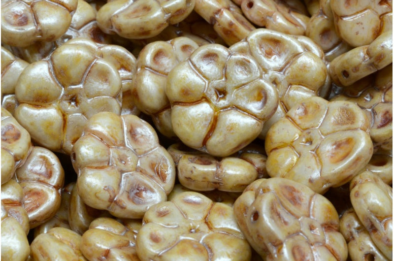 Primrose Flower Beads 15 mm, Alabaster Herbs Spices Caraway, Czech Glass