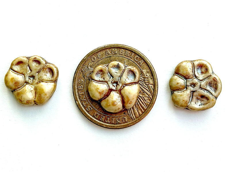 3 pcs Primrose Flower Beads 15 mm, Alabaster Herbs Spices Caraway, Czech Glass
