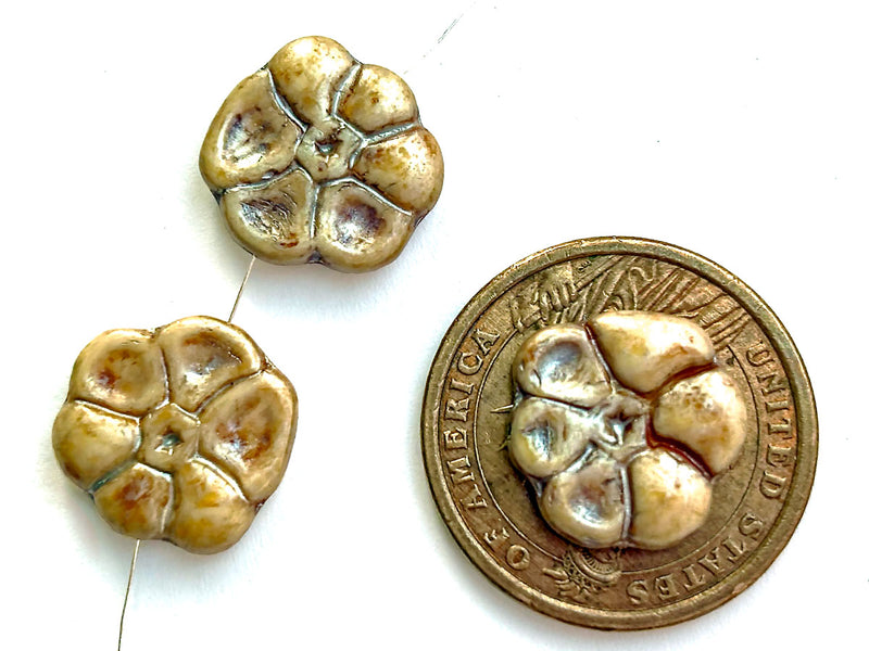 3 pcs Primrose Flower Beads 15 mm, Alabaster Herbs Spices Caraway, Czech Glass