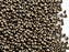 20 g 10/0 Seed Beads Preciosa Ornela, Brown Metallic Matte, Czech Glass