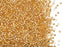 5 g 11/0 Miyuki Delica, 24KT Gold Lined Crystal, Japanese Seed Beads