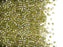 5 g 11/0 Miyuki Delica, Transparent Golden Olive Luster, Japanese Seed Beads