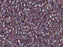 Delica Seed Beads 11/0, Transparent Lilac AB, Miyuki Japanese Beads
