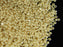 10 g 11/0 1-Cut Seed Beads Charlotte Preciosa Ornela, Shell Cream Pearl Opaque, Czech Glass