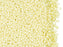 Rocailles Seed Beads 11/0, Yellow Cream Pearl, Czech Glass