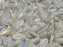 Bay Leaf Beads 6x12 mm, Alabaster Full AB, Czech Glass