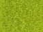 Seed Beads 15/0, Transparent Chartreuse, Miyuki Japanese Beads