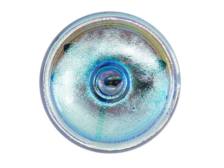 1 pc Czech Glass Buttons Hand Painted, Size 14 (31.5mm | 1 1/4''), Light Blue Green Chameleon With Gold Dragonfly, Czech Glass