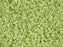 Delica Seed Beads 15/0, Opaque Chartreuse AB Matted, Miyuki Japanese Beads