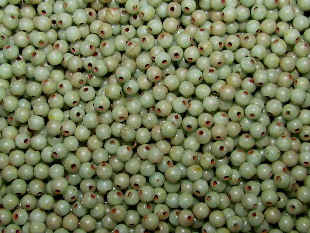 100 pcs Round Pressed Beads, 3mm, Turquoise Green Travertine, Czech Glass