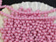 100 pcs Round Pearl Beads, 4mm, Baby Pink Pastel, Czech Glass