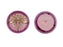 1 pc Czech Glass Cabochon Pink Purple Gold Dragonfly (Smooth Reverse Side), Hand Painted, Size 8 (18mm)