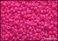 20 g 8/0 Seed Beads Preciosa Ornela, NEON Pink Opaque, Czech Glass
