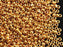 20 g 9/0 1-Cut Seed Beads Charlotte Preciosa Ornela, Bright Gold Metallic, Czech Glass