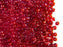 20 g 9/0 Seed Beads Preciosa Ornela, Ruby AB, Czech Glass