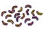 Arrow® Beads 5x8 mm, 2 Holes, Jet Purple Iris, Czech Glass