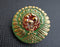 1 pc Czech Glass Button, Green Red Gold Ornament, Hand Painted, Size 10 (22.5mm)