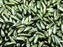 50 pcs Dagger Small Pressed Beads, 3x10mm, Jet Green Luster, Czech Glass