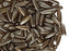 50 pcs Dagger Small Pressed Beads, 3x10mm, Pastel Light Brown/CoCo, Czech Glass
