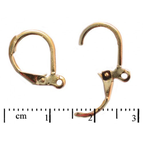 2 pcs Leverback Earrings, Gold Plated