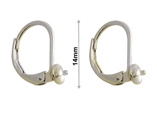 2 pcs Leverback Earrings, Rhodium Plated