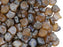 Ginko Beads 7.5x7.5x3.4 mm, 2 Holes, Rosaline Rembrandt Matte, Czech Glass