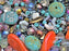 Random Mix of Czech Glass Beads , Glass Beads for Jewelry Making, Beads & Bead assortments, Pressed Beads, Matubo, Rutkovsky, Rocailles et al. Mixed Shapes and Size , Turquoise with a twist, Czech Glass