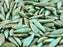 25 pcs Dagger Pressed Beads, 5x16mm, Opaque Turquoise Green Travertine, Czech Glass