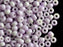 50 pcs Pony Pressed Beads, 2mm Hole, 5.5mm, White Purple Luster, Czech Glass