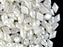 30 pcs 2-hole DiamonDuo™ Beads, 5x8mm, Alabaster Pastel White, Pressed Czech Glass