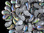 20 pcs 2-hole ZoliDuo® Left Pressed Beads, 5x8mm, Crystal Etching Vitrail, Czech Glass