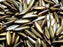 50 pcs Dagger Pressed Beads, 5x16mm, Jet Brown Iris, Czech Glass