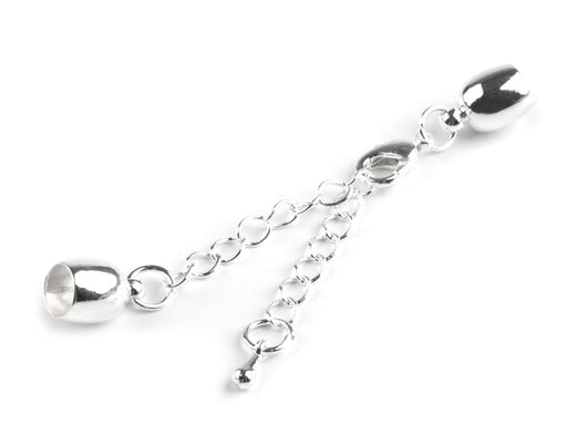 1 pc Lobster Clasp with Chain and End Cap, 6mm, Silver Plated