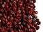 20 g 2-hole SuperDuo™ Seed Beads, 2.5x5mm, Coral Red Picasso Luster, Czech Glass