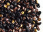 20 g 2-hole SuperDuo™ Seed Beads, 2.5x5mm, Jet Capri Gold Matte, Czech Glass